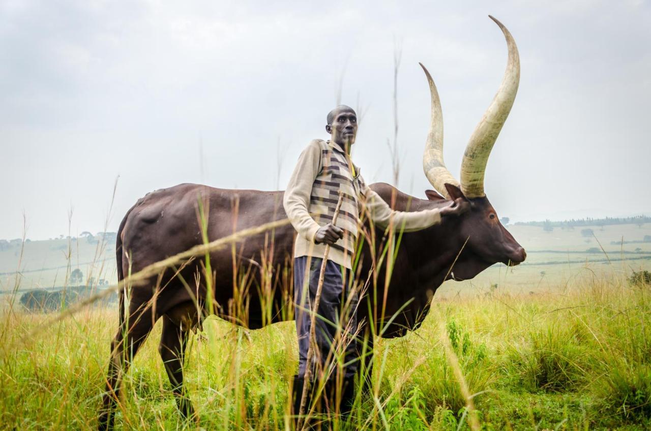 Emburara Farm Lodge Mbarara Exteriér fotografie